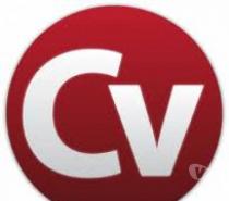 Services Northern Ireland -Vivastreet