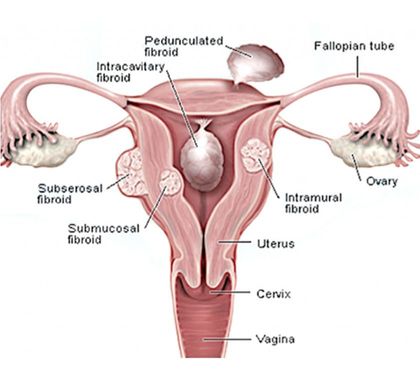 Health & Well-Being Bangalore - Photos for Best Doctor For Infertility In Bangalore