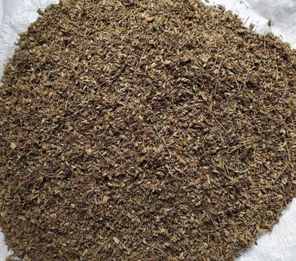Beauty products for sale Thoothukudi - Photos for Moringa Dry Flowers