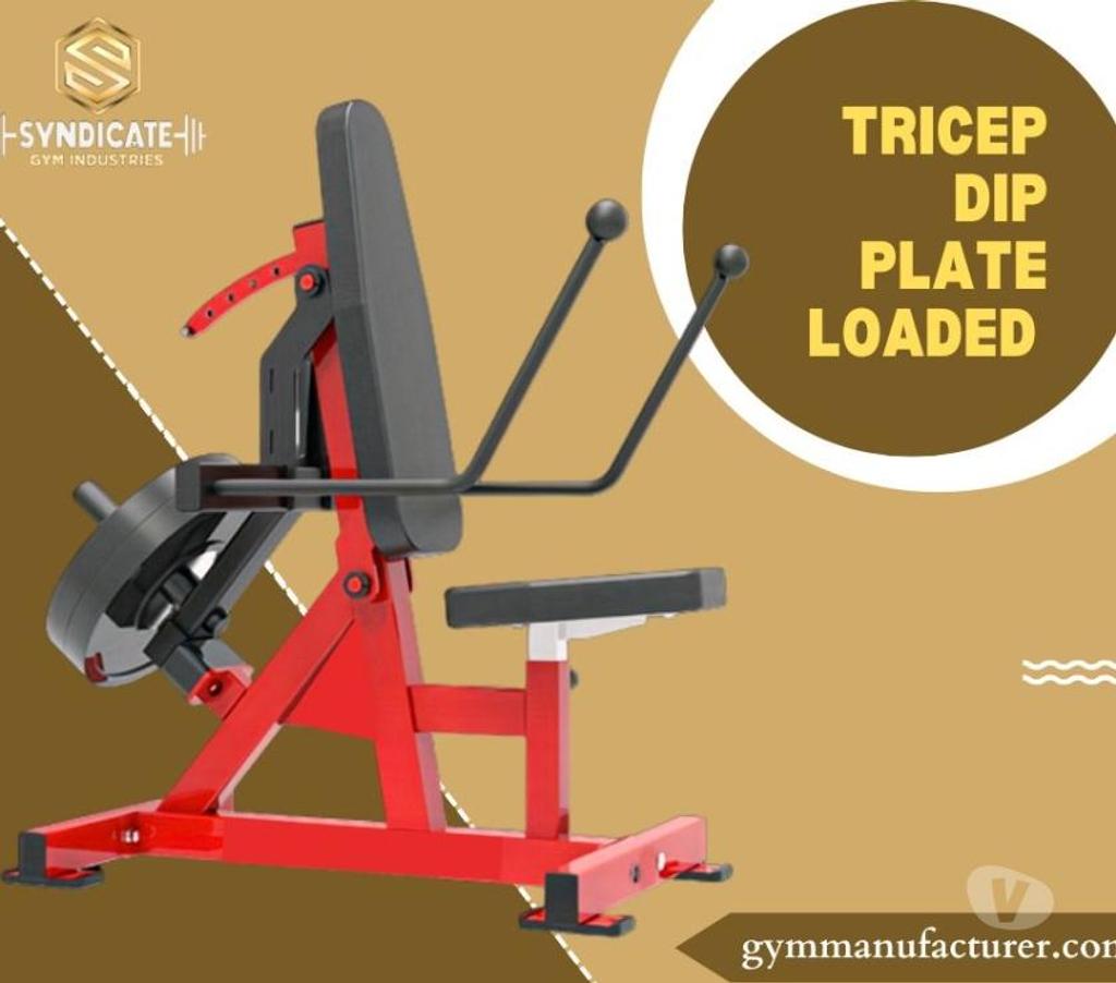 TRICEP DIP PLATE LOADED Jalandhar