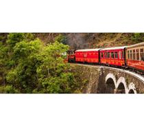 Explore the best price in monsoon on Shimla with couples