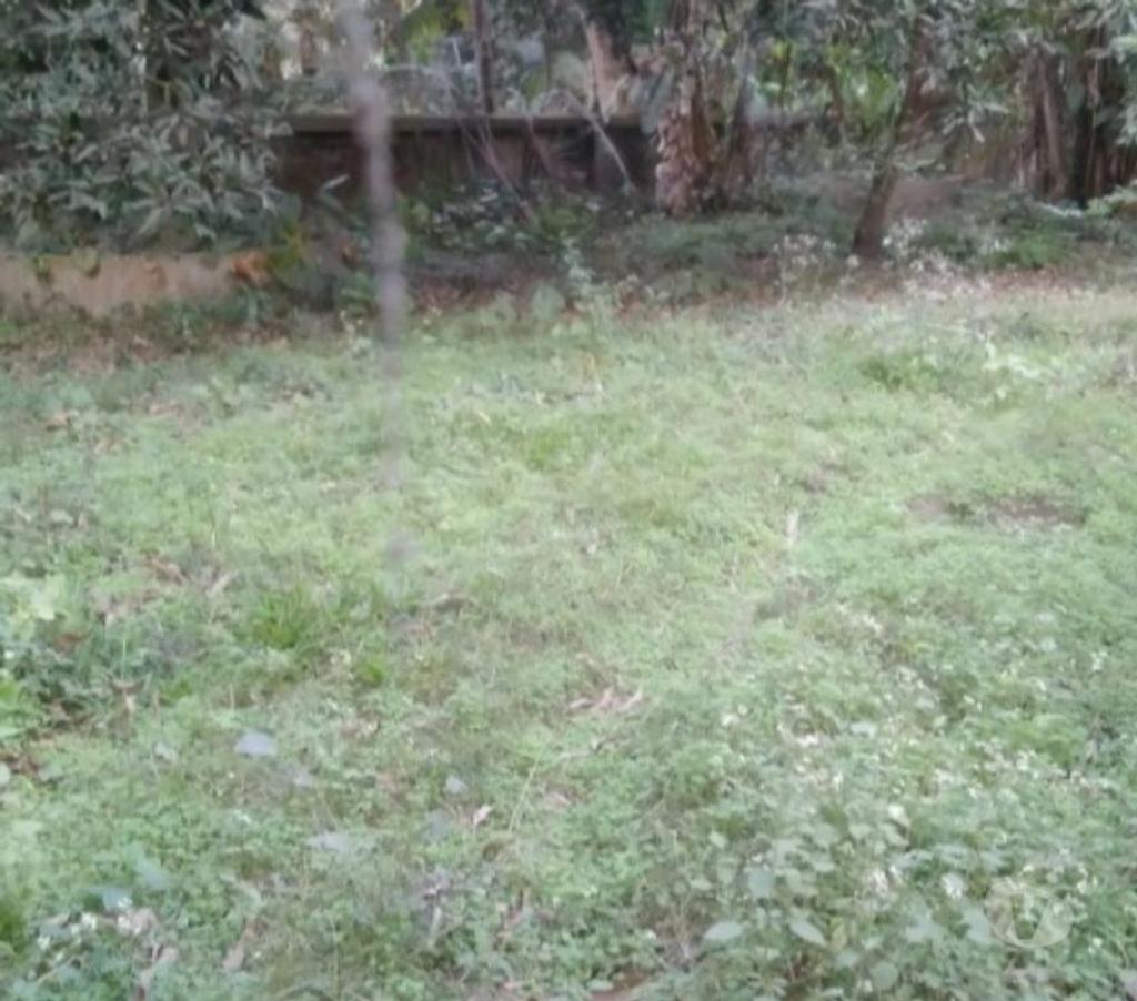 Land sale Kolkata - Photos for 6 Cottah Land Sale At Kanchantala Near Madhyamgram
