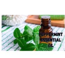Bulk Supply of Peppermint Essential Oil by SVA Naturals