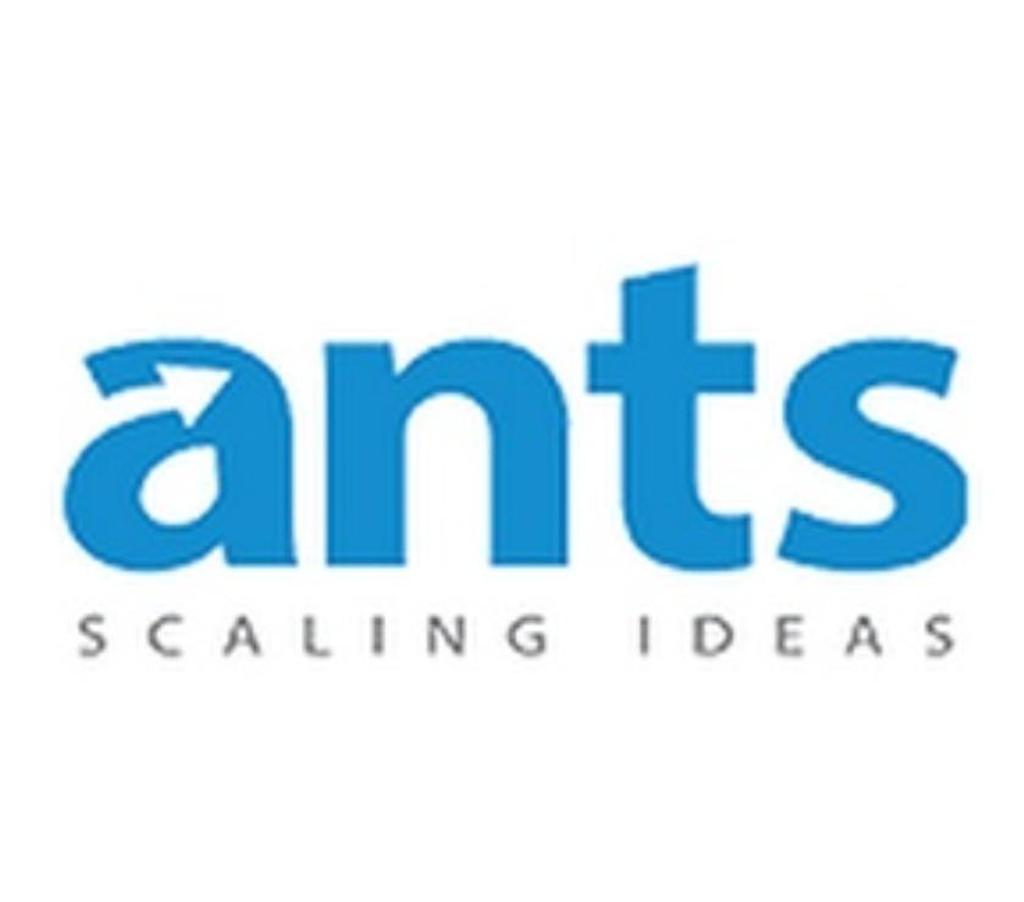 Web services Gurgaon - Photos for ANTS Digital: Premier Social Marketing Agency