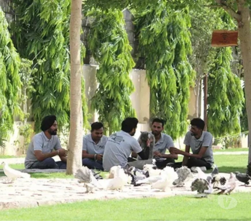 Relocation services Jaipur - Photos for 🐘 Amber Fort Elephant Ride Price