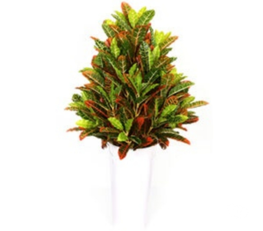 Renovation services Chennai - Photos for Best Artificial Plants Shop in chennai