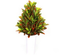 Best Artificial Plants Shop in chennai