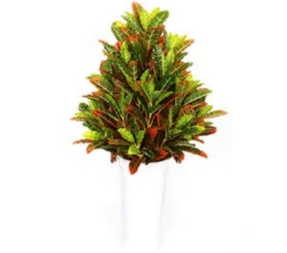 Construction services - Photos for Best Artificial Plants Shop in chennai