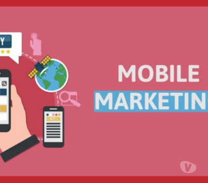 Insurance services - Photos for Mobile Marketing Company in Bangalore Offering SmartSolution