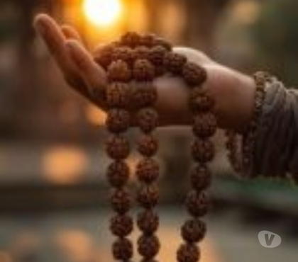 Matrimonial services - Photos for Begin Your Spiritual Journey with Divine Wisdom Rudraksha