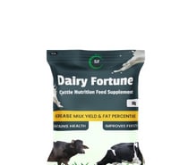 Best feed for cows to increase milk