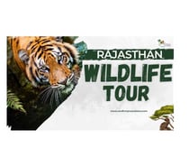 Rajasthan National Parks Tour – Tigers, Birds, and More