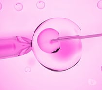 Assisted Hatching &IVF Treatment
