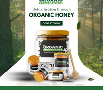 Sunflower Honey: Nature’s Golden Elixir