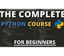 Discovering DICS: The Python Institute in Pitampura
