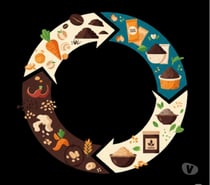 Upcycling Food Waste: Sustainable Value in Every Bite