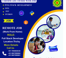 IT Certificate Course + Remote Job