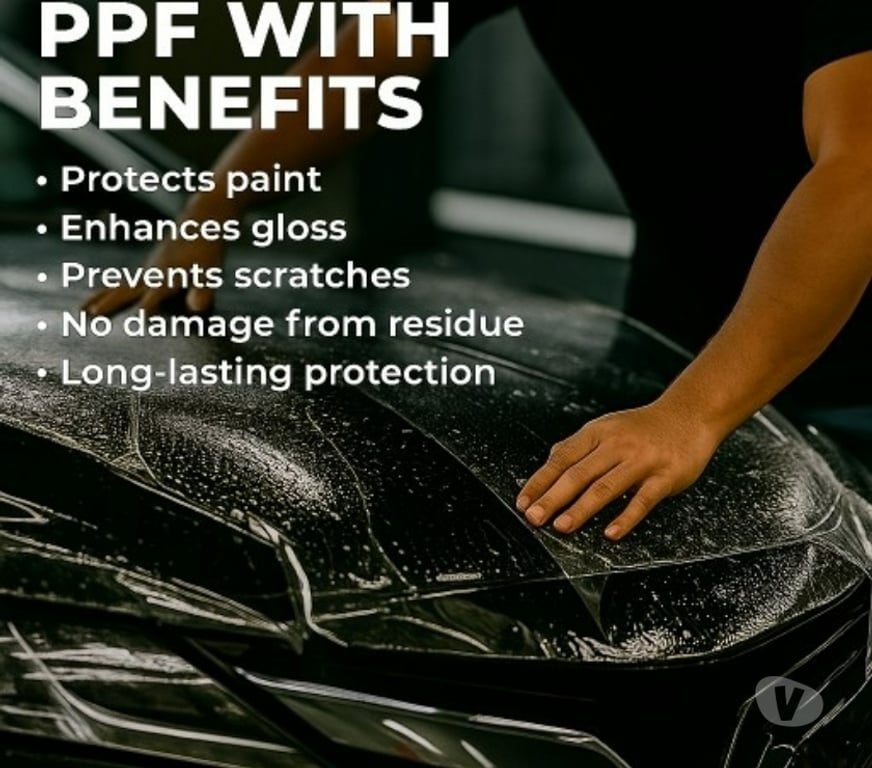 Other Services Dehradun - Photos for Carmaa Premium paint protection & coating services