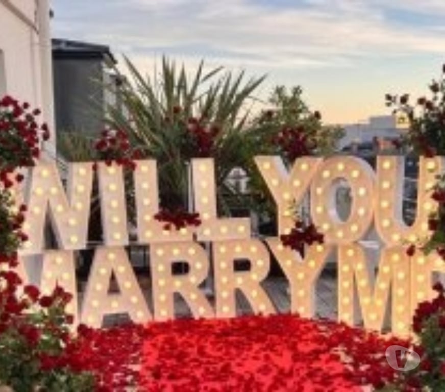 Wedding planners Chandigarh - Photos for Marry Me Surprise Planners in Chandigarh - Woofern