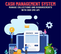 Best Payout Settlement API Solution in India