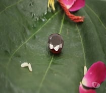 Authentic Gomed Gemstone (Hessonite Garnet)