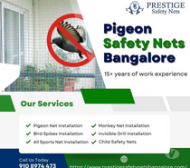 Professional Pigeon Safety Nets Installation in Bangalore