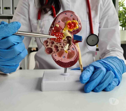 Diet programs - Photos for Your Go-To Specialist Doctor for Kidney Disease in Bbsr