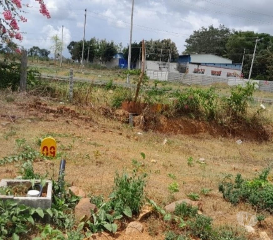 Land sale Mysore - Photos for buy a site and get umrah free for 100 lucky members