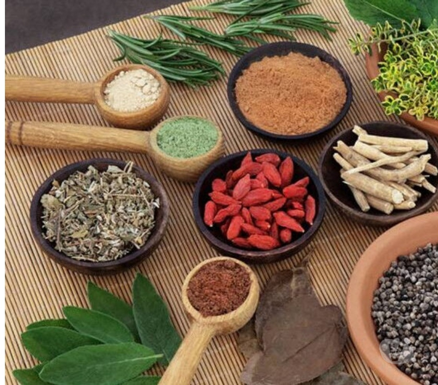 Well-being services Thiruvanathapuram - Photos for Best Ayurvedic Certification Courses in Kerala, India
