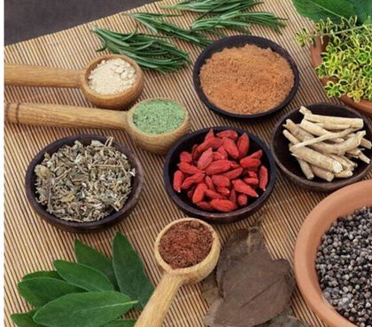 Diet programs - Photos for Best Ayurvedic Certification Courses in Kerala, India