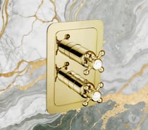 Concealed 2 Outlet Thermostatic Shower Valve