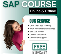 Best SAP Training Institute in Hyderabad Ameerpet