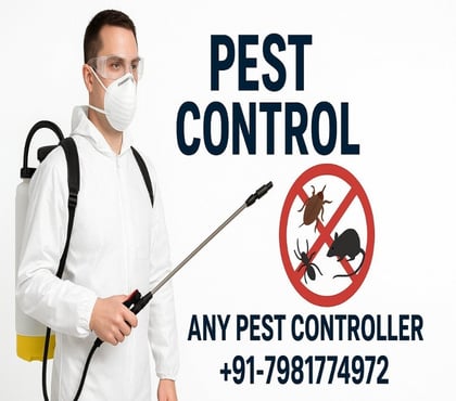 Cleaning services - Photos for Best Pest Control