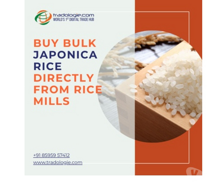 Insurance services - Photos for Buy Bulk Japonica Rice Directly From Rice Mills