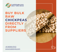Buy Bulk Raw Chickpeas Directly from Suppliers
