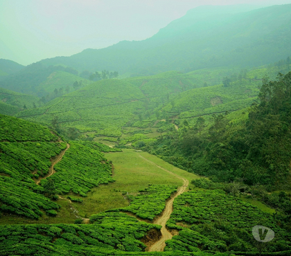 Serviced Apartments - Photos for Niche Stays - Best Five star resorts in Munnar