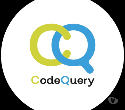 Web services - Photos for CodeQuery Techno