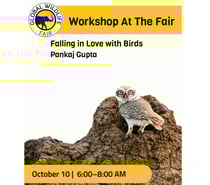Falling in Love with Birds