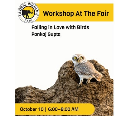 Matrimonial services - Photos for Falling in Love with Birds